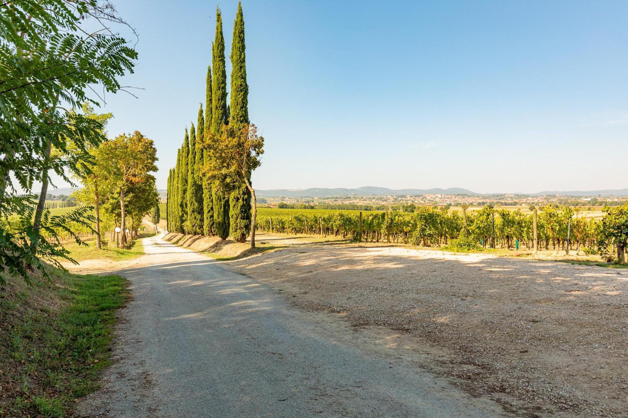 Appartamento Nobile Montepulciano Stazione Dış mekan fotoğraf